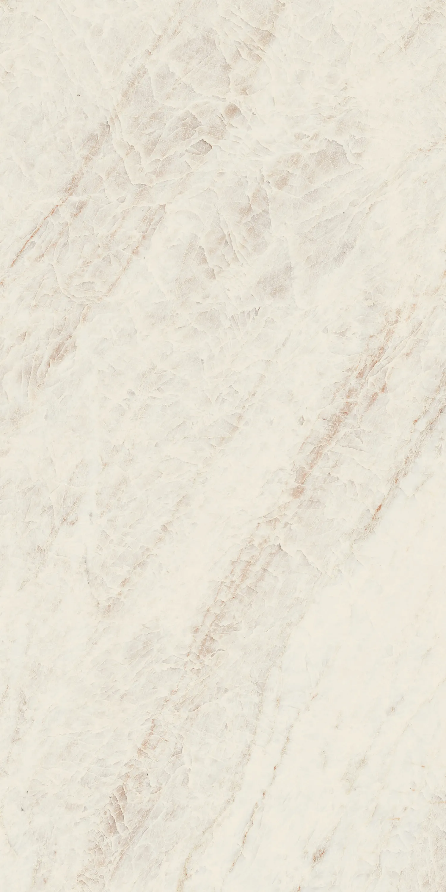Керамогранит 1006956 Oyster White Ret 60х120