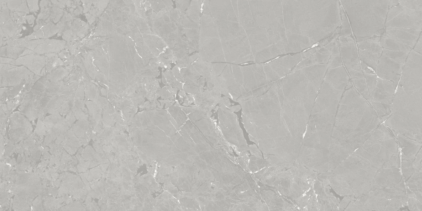 Керамогранит Neeko Grey 60x120