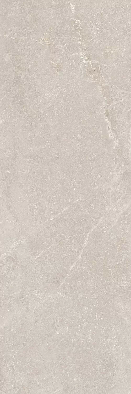 Плитка R0001633 Bleuemix Taupe 40x120