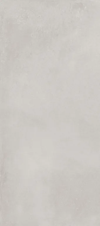 Керамогранит DL0L58M01 Delishn mouse 60х120