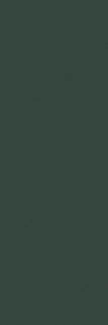 Керамогранит 767747 Crayons Moss Nat Ret 6mm 40x120