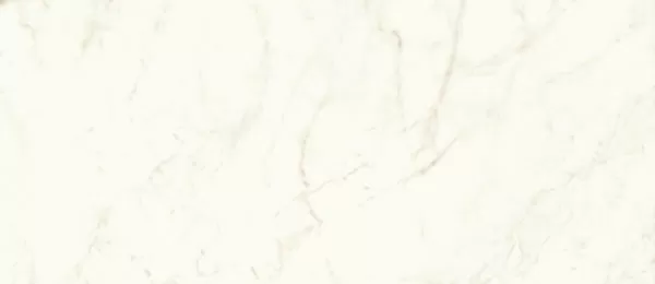 Керамогранит A4OY Marvel Calacatta Delicato Lappato 120x278