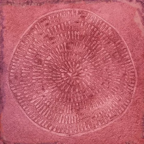 Плитка Carlo Granate-B 20x20