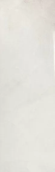Плитка 1217 MONACO WHITE DECOR RET 40x120