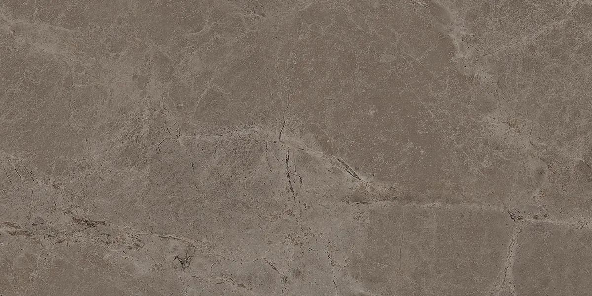 Керамогранит Iconic Truffle Matt 60x120