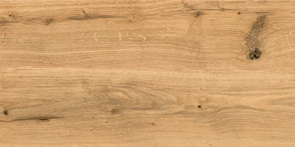 Керамогранит C-WS4O112D Woodhouse коричневый 29,7х59,8