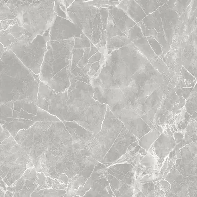 Керамогранит 10GCRGCL0064 Carolina Серый 60x60