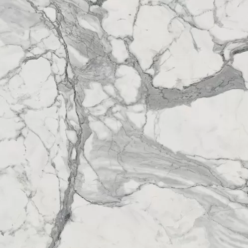 Керамогранит 610010000778 Charme Evo Statuario 60x60