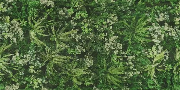 Керамогранит 0009561 SECRET GARDEN 120x280