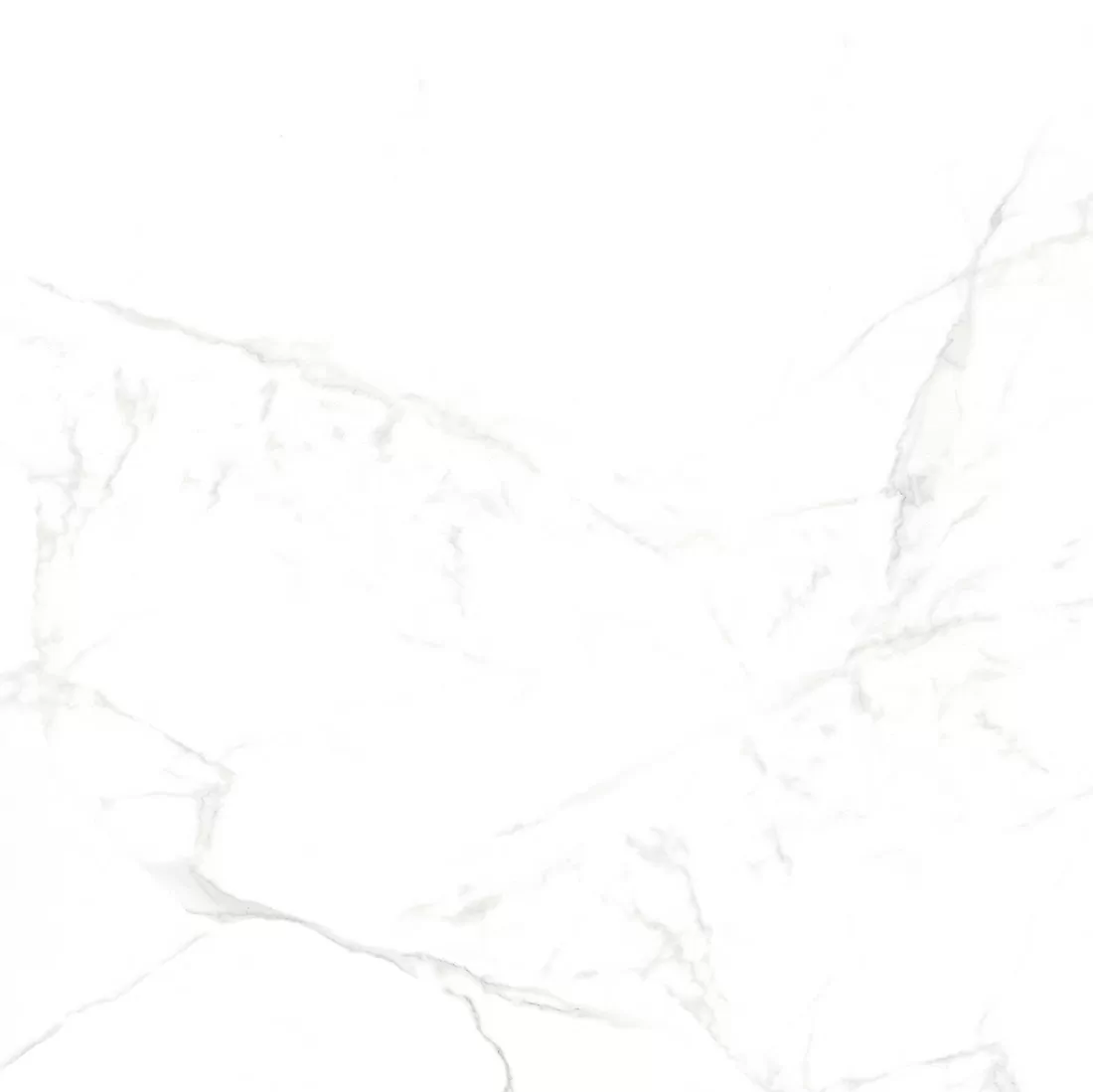 Керамогранит NTT996070M Callacata Carving 60x60
