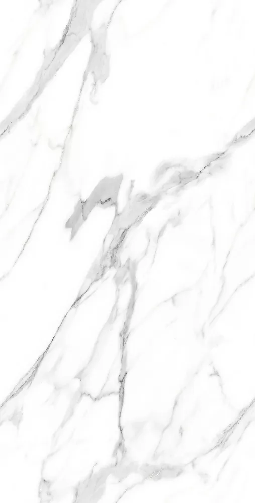 Керамогранит CA-054 Carving Endless R 60х120