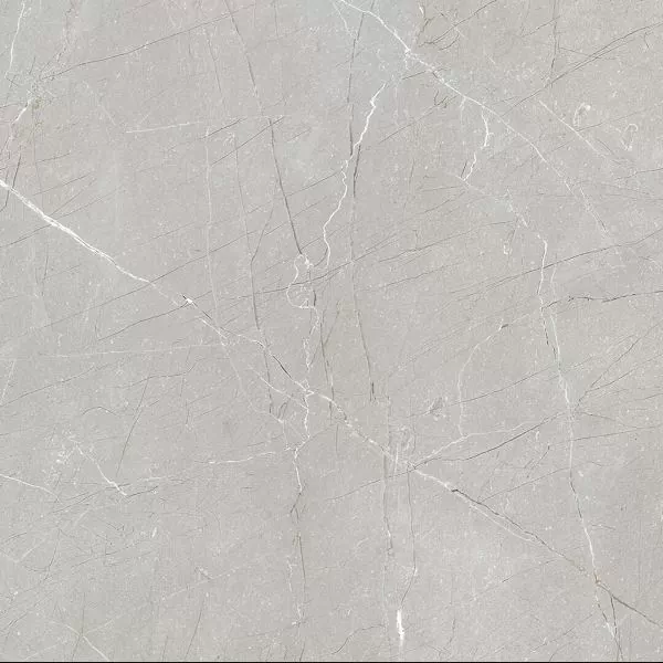 Керамогранит Larice Grey 60x60