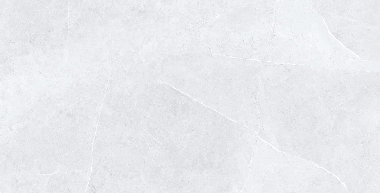 Керамогранит Swindon Grey Polished 60x120