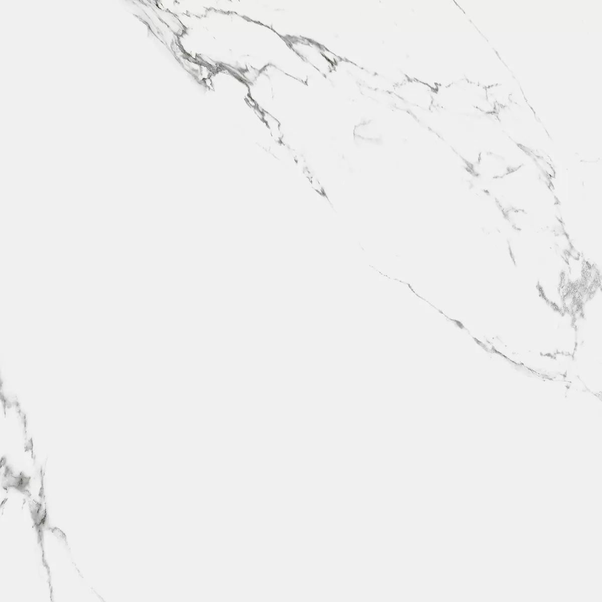 Керамогранит R_NR1002 Carrara Marmo Matt 60x60