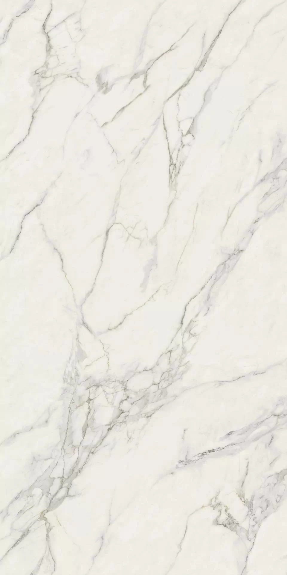 Керамогранит AJKS Calacatta Extra Lappato 160x320