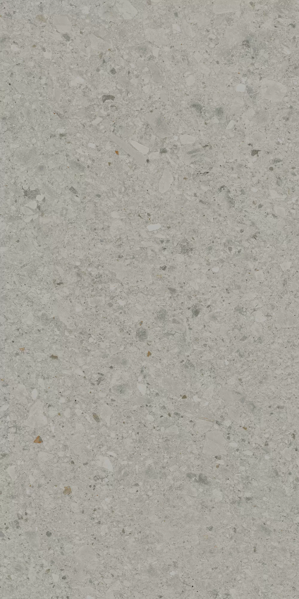 Керамогранит DD591400R Чеппо ди Гре серый матовый обрезной 119,5x238,5x1,1