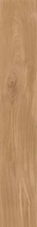 Керамогранит FR04 Forest Mild неполированный 19,4х120