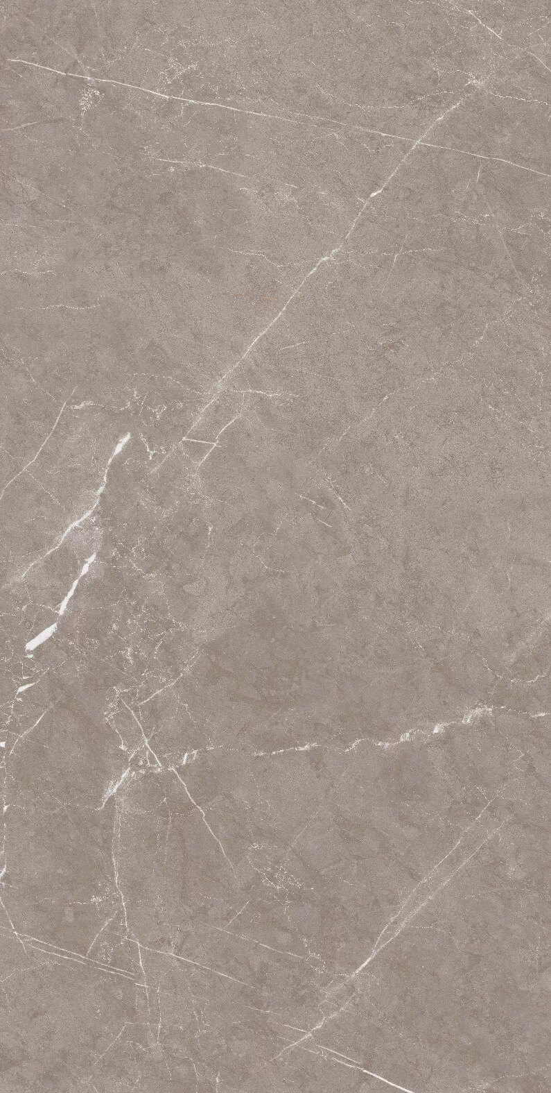 Керамогранит 1070 Monte Taupe Carv 120x60