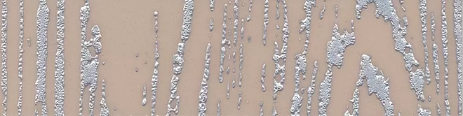 Керамогранит AD/A269/TU0031L Бордюр Скиато беж лаппатированный 20х4,9