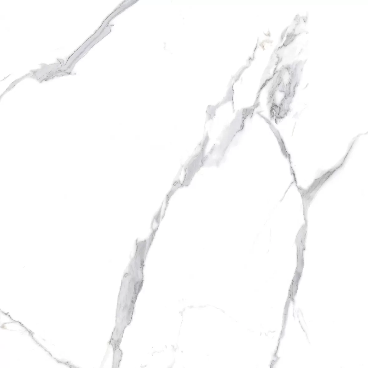 Керамогранит Calacatta Splendid Silver Белый Полированный 80х80