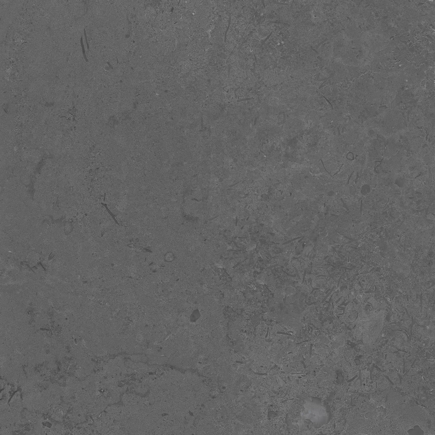 Керамогранит DD640820R Про Лаймстоун серый темный натуральный обрезной 60х60