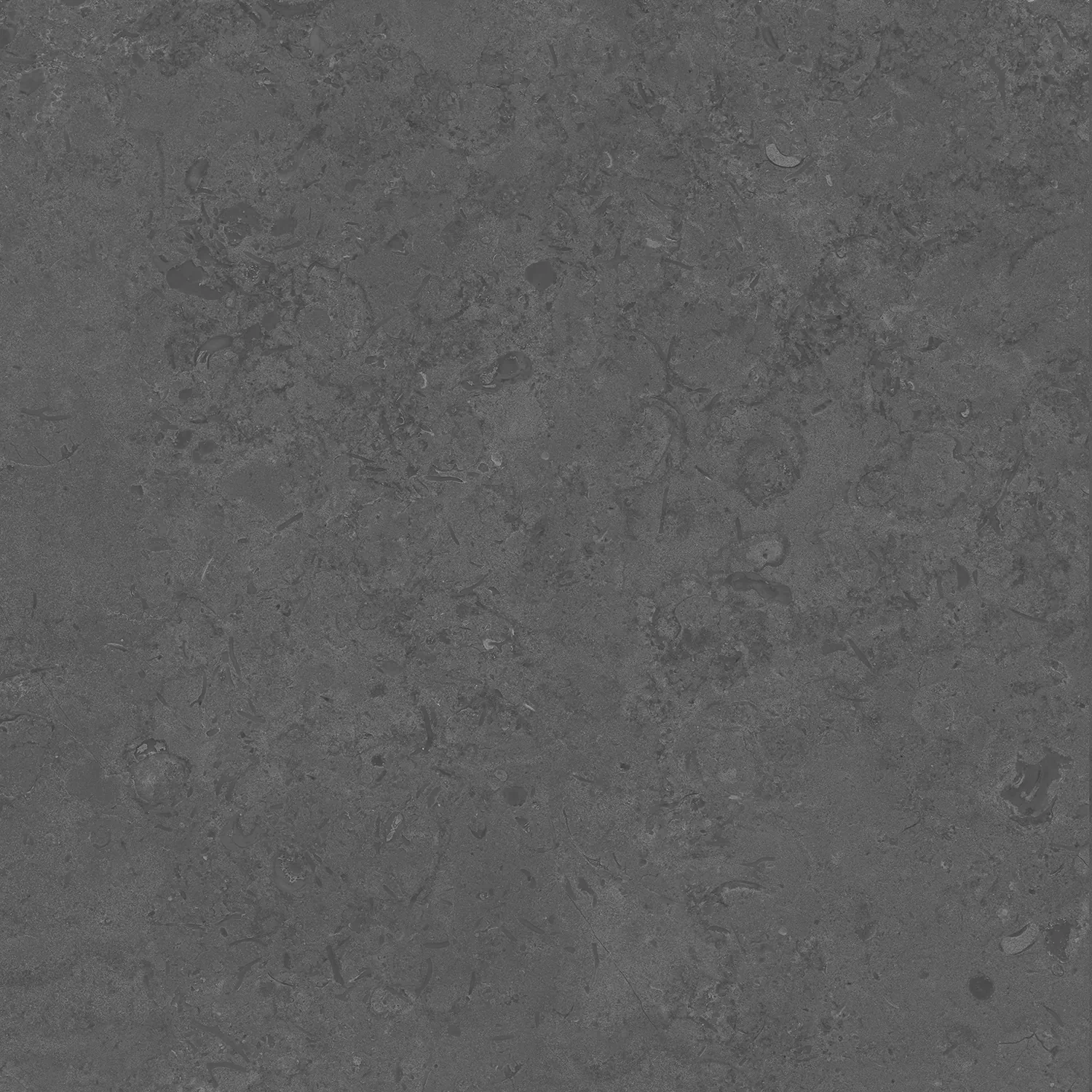 Керамогранит DD640820R Про Лаймстоун серый темный натуральный обрезной 60х60