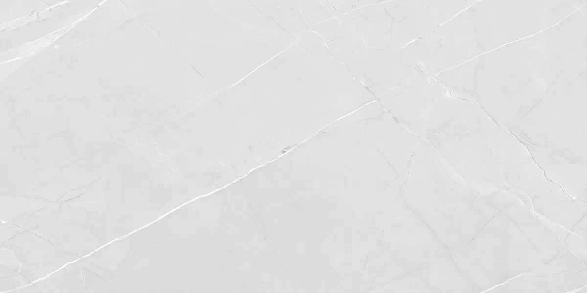 Керамогранит PRO 1166G Armani Bianco 1200x600