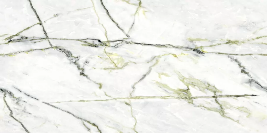 Керамогранит N40012 Calacatta Green (Book) Polished 60x120