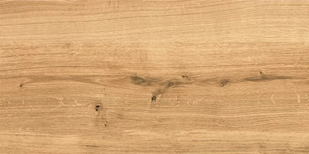 Керамогранит C-WS4O112D Woodhouse коричневый 29,7х59,8