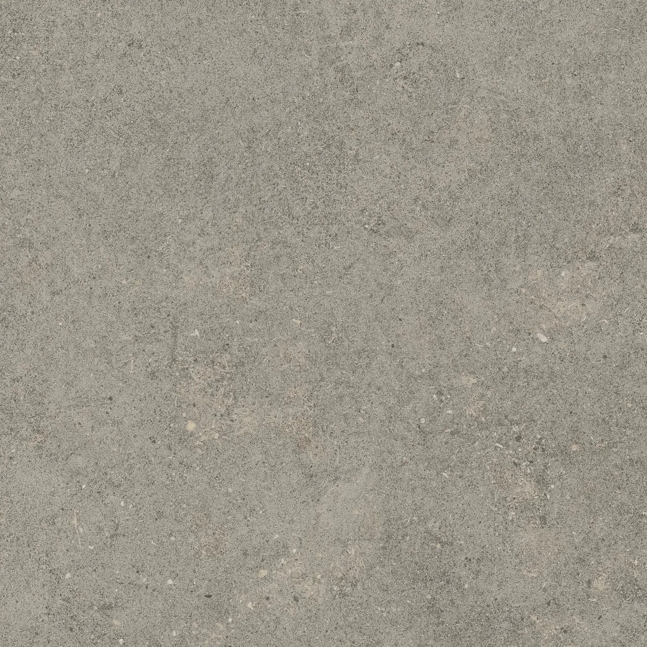 Керамогранит 610010005836 Forte dei Marmi Rock Lunar Grey Lastra 20mm 60x60