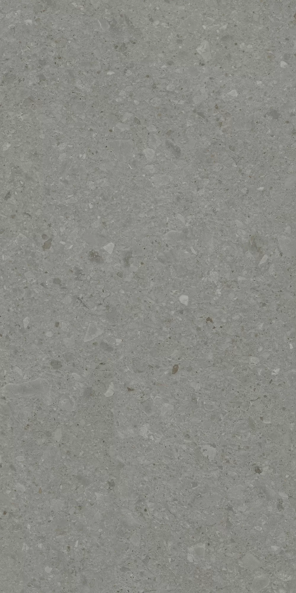 Керамогранит DD507920R Чеппо ди Гре серый тёмный матовый обрезной 60x119,5x0,9