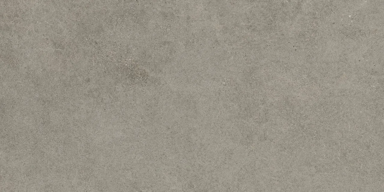 Керамогранит 610010005813 Forte dei Marmi Rock Lunar Grey Matt Rett 80x160