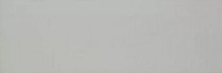 Плитка Colourline Grey MLDZ 22*66.2