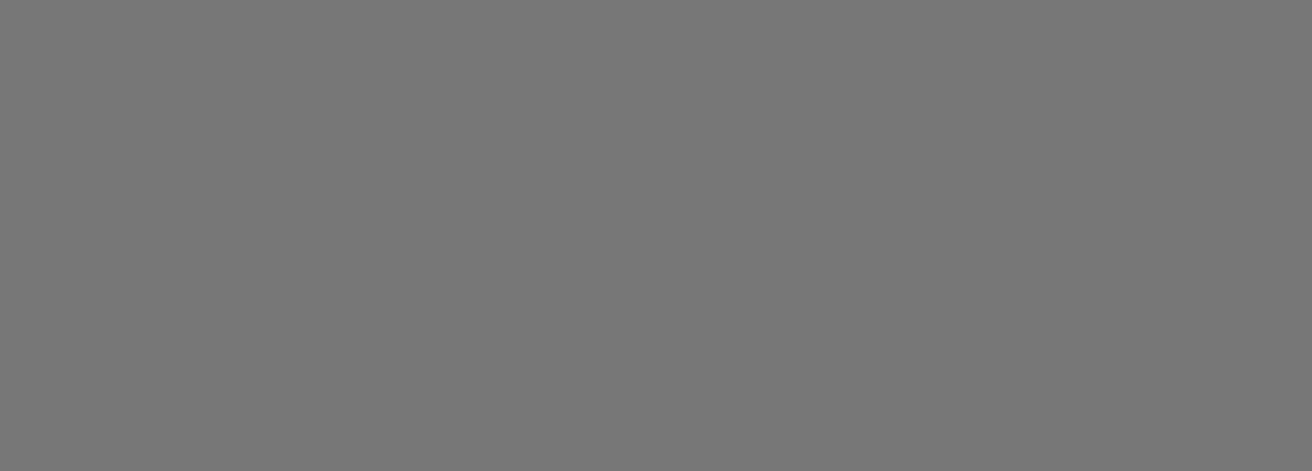 Плитка Foresta Silver 24.2x70