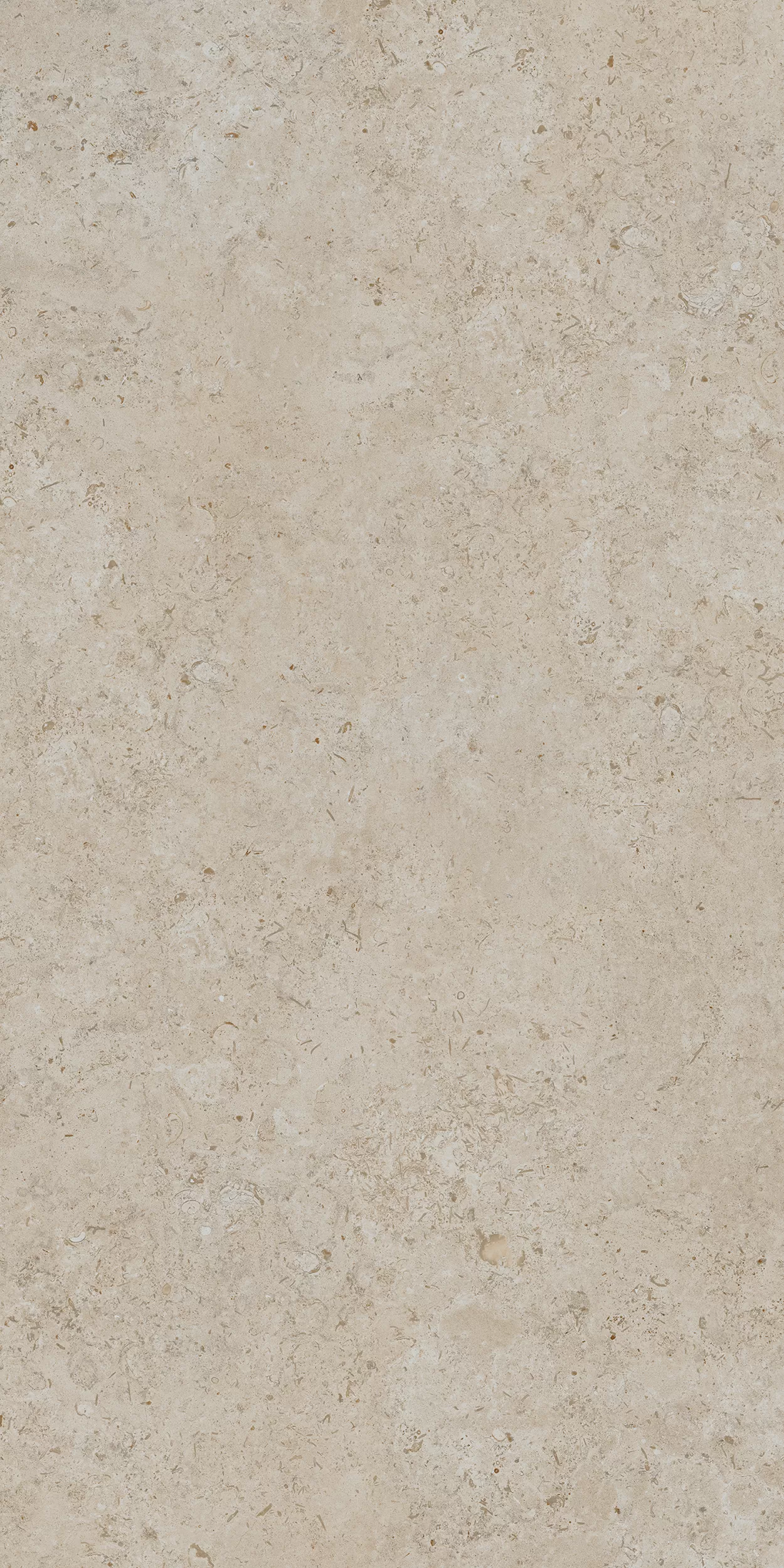 Керамогранит DD590500R Про Лаймстоун АТ бежевый темный натуральный обрезной R10 119,5х238,5