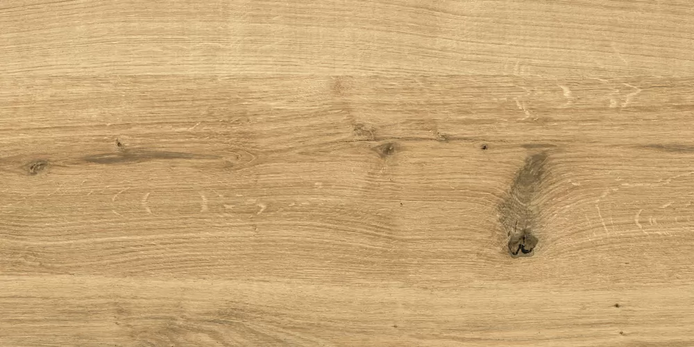 Керамогранит C-WS4O112D Woodhouse коричневый 29,7х59,8