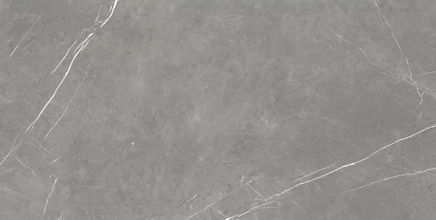 Керамогранит 610010002710 Forte dei Marmi Elegant Grey Rett 80x160