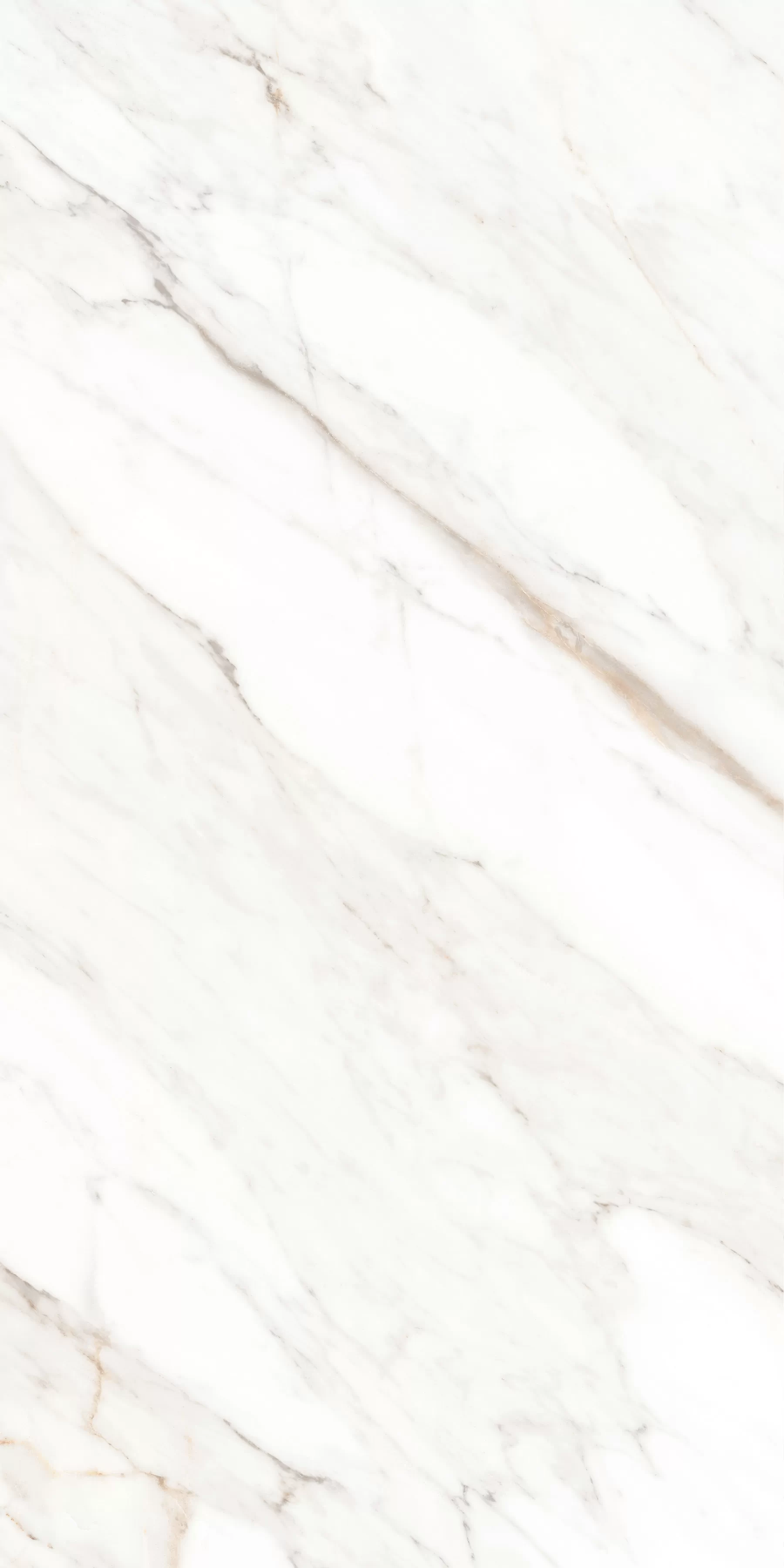 Керамогранит MPL-058631 Calacatta Gold Polished 60x120