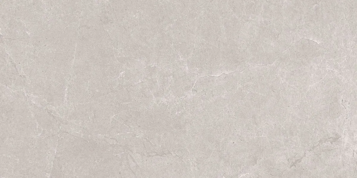 Керамогранит N20555 Aristo Grey Tm 60x120