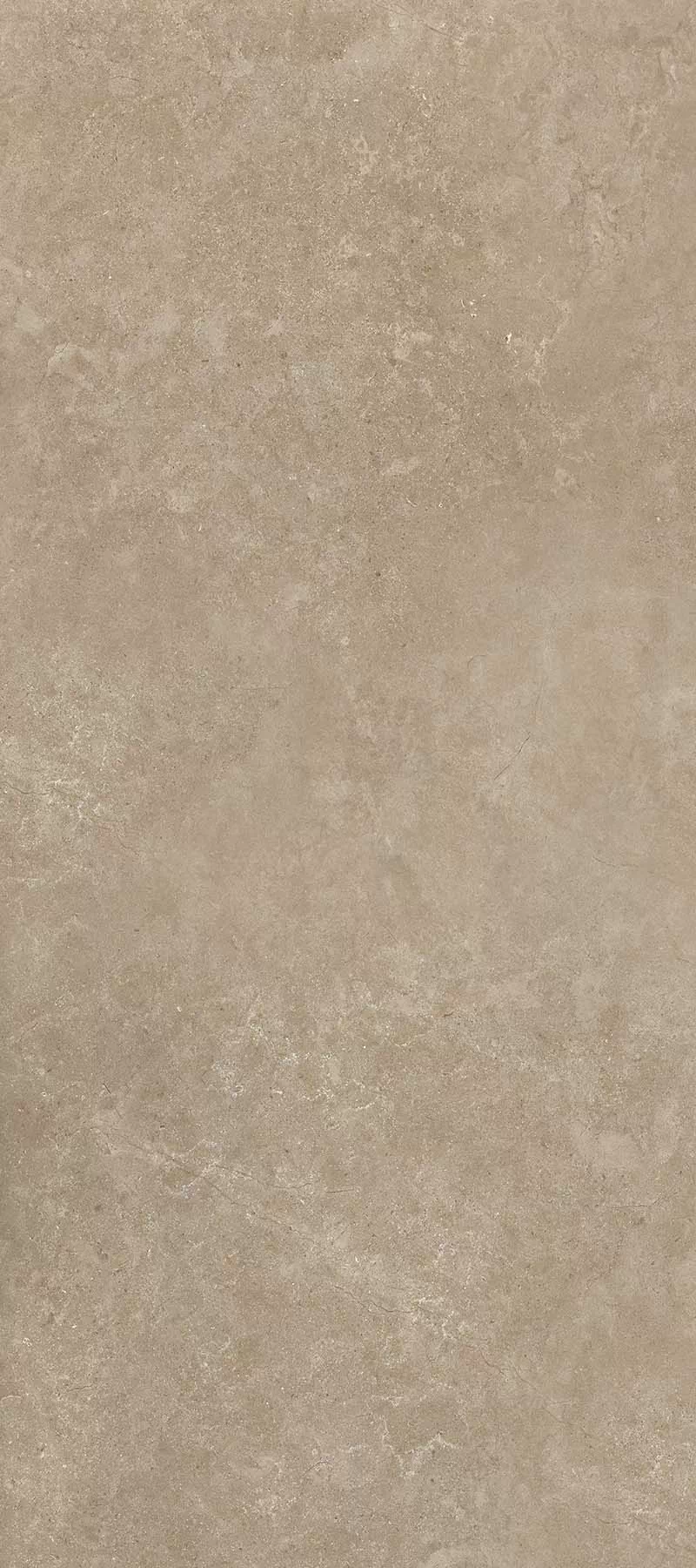 Керамогранит 11022 Shell BG 60х120