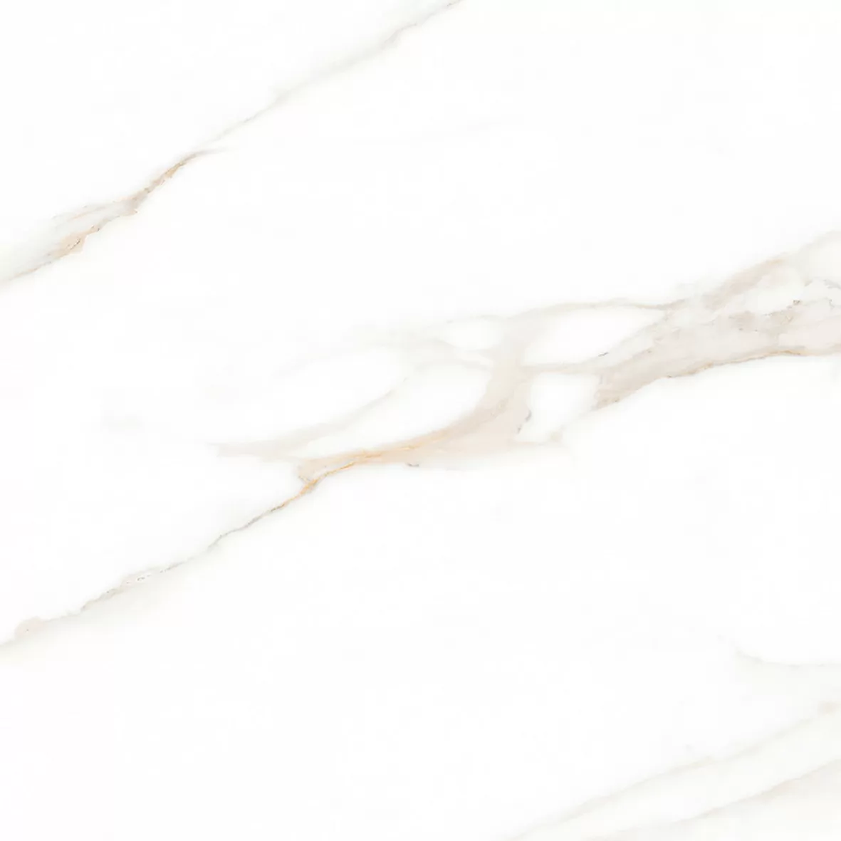 Керамогранит Calacatta Regal Gold Белый Матовый 80х80