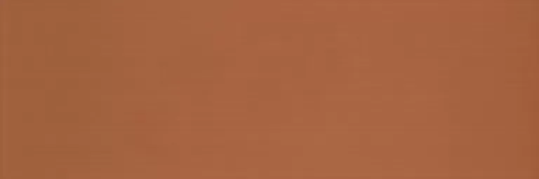 Плитка Colourline Orange MLE3 22*66.2