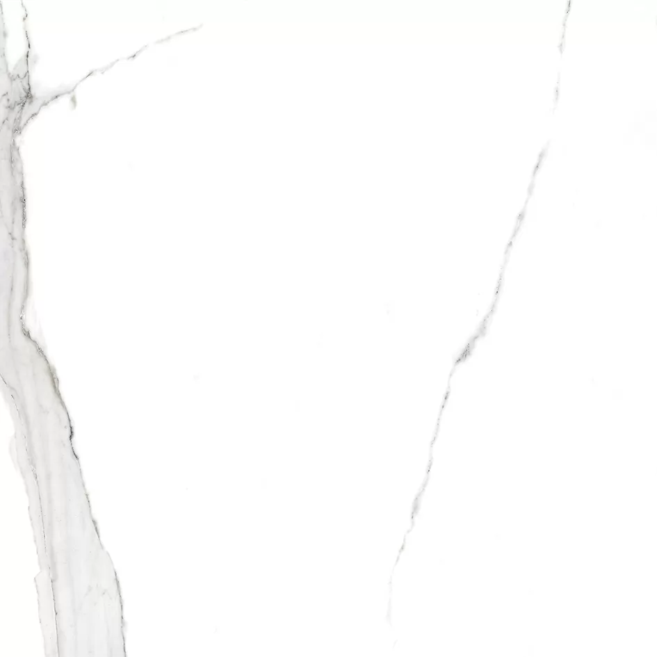 Керамогранит SG169700N Viva белый 40,2х40,2