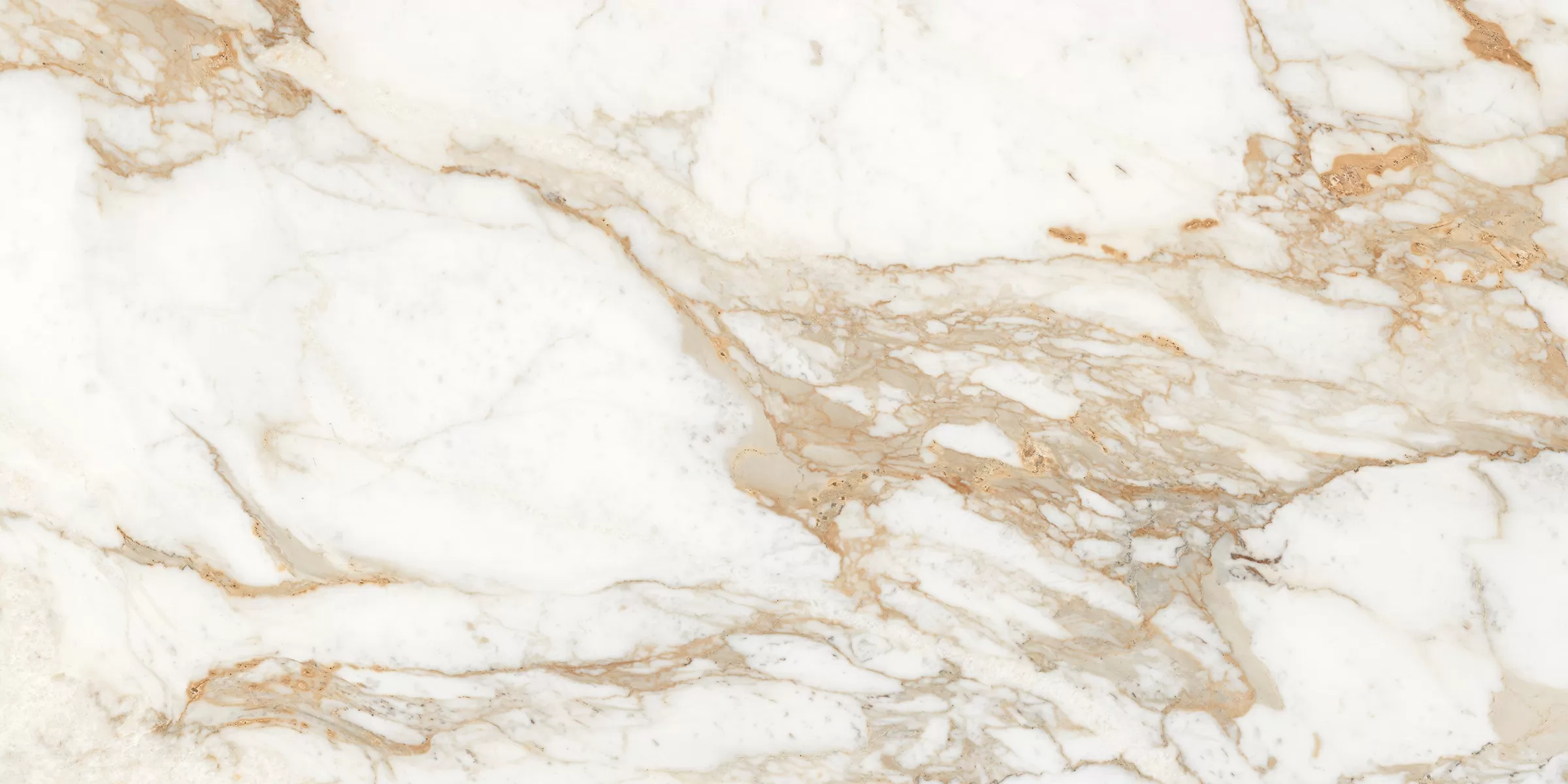 Керамогранит Calacatta Oro полированный 60x120