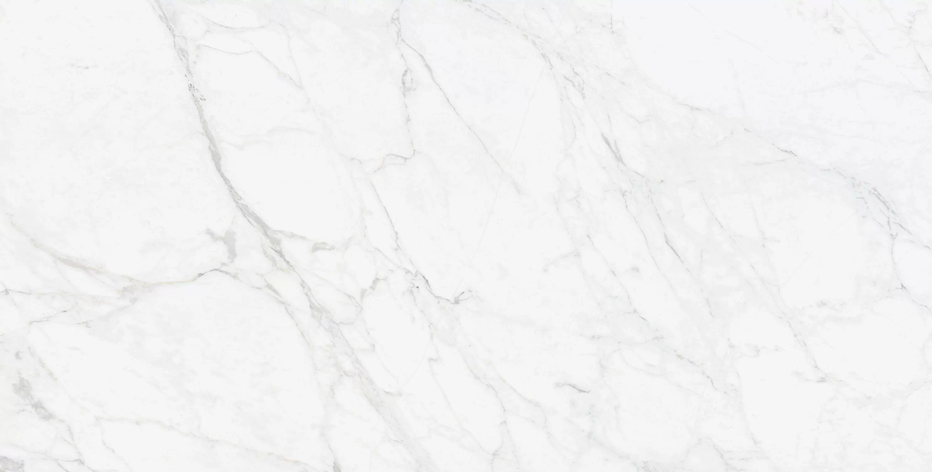 Керамогранит Calcatta Light PGVT 60x120