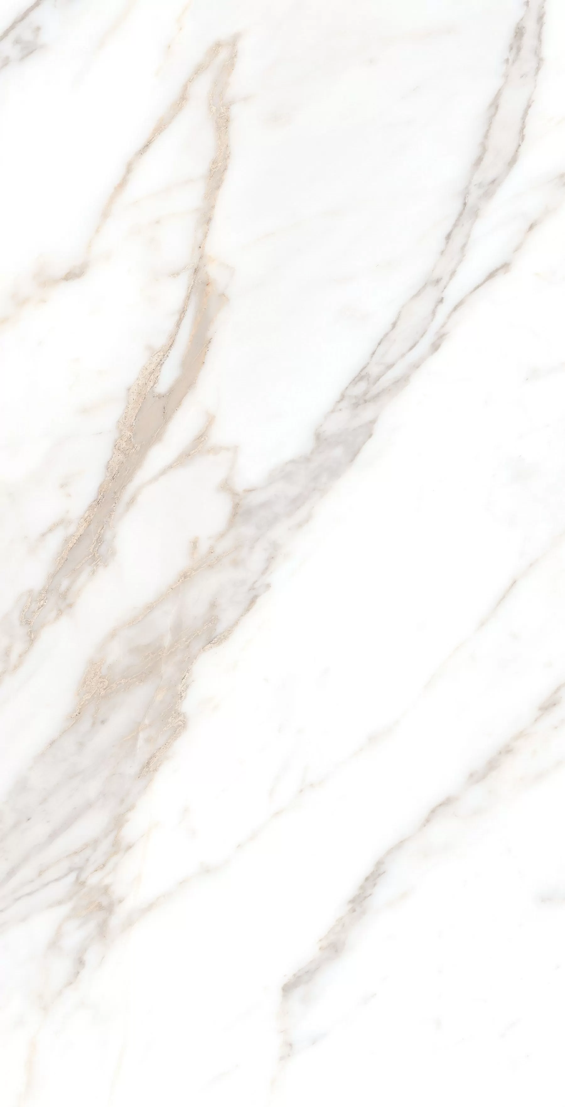 Керамогранит Calacatta Borghini Sugar 60х120