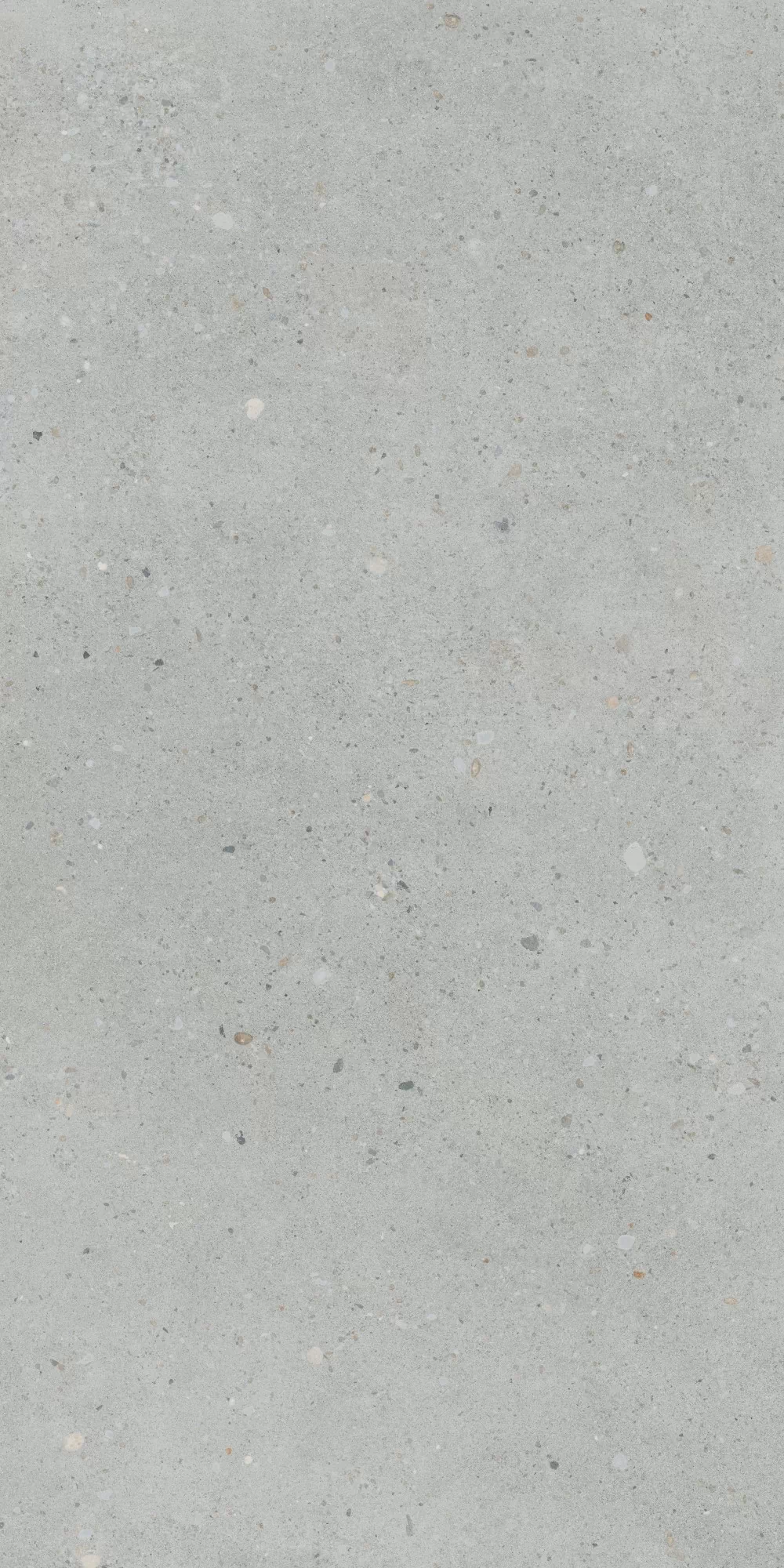 Керамогранит K947893R0001VTER Серый Матовый R10A Ректификат 60x120