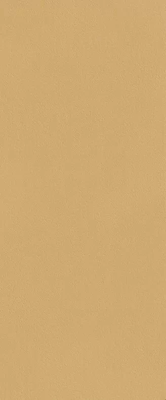 Плитка fTDS True Color Caramel Matt RT 50x120