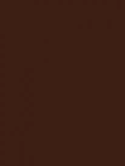 Плитка WAAKB009 CONCEPT Plus Brown 25x33