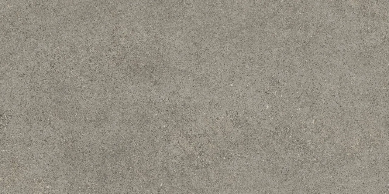 Керамогранит 600010002436 Forte dei Marmi Rock Lunar Grey Lastra 20mm 60x120